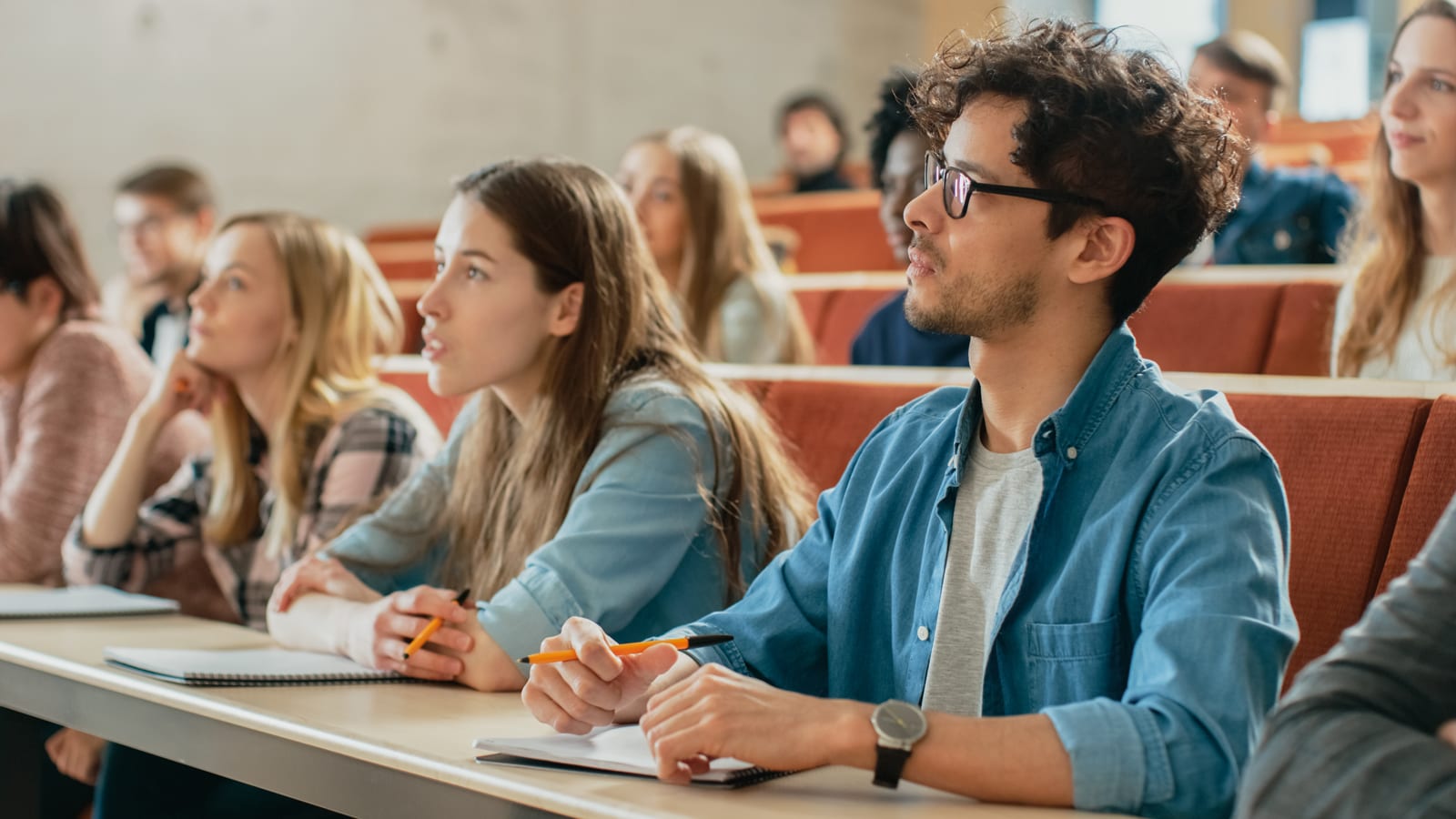 Dynamic Display students in higher education